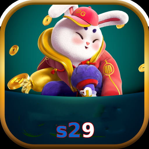 s29